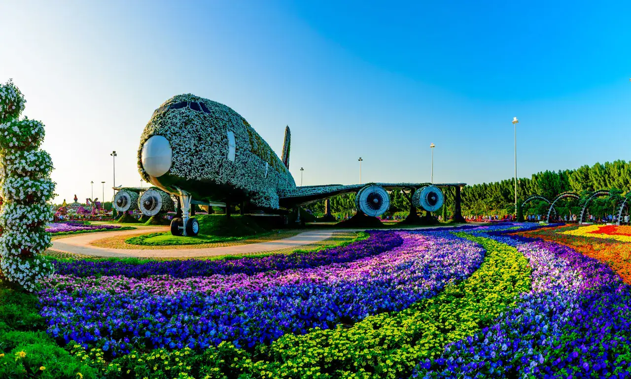 Flower-covered Airbus A380 model in Dubai Miracle Garden in Arjan, surrounded by bands of purple, blue and white flowers